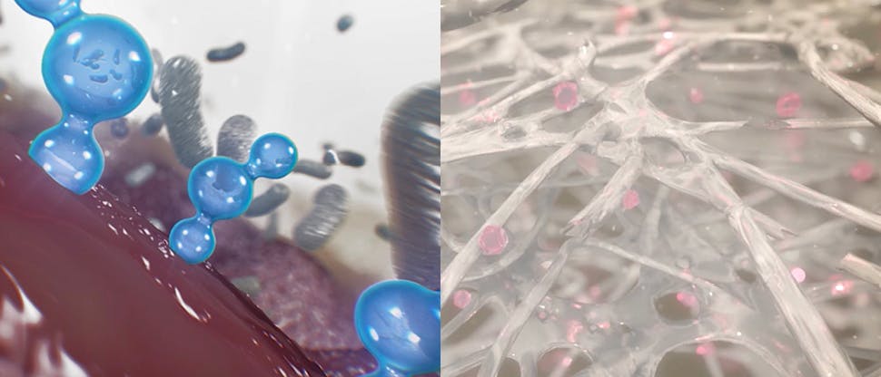 Action du bicarbonate de sodium et du digluconate de chlorhexidine
