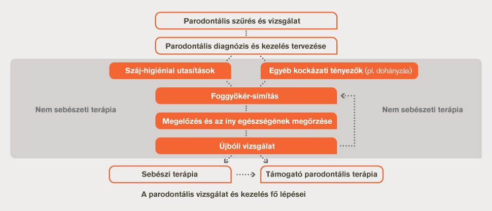 a barátnőm leszokott a dohányzásról Ha abbahagyja a dohányzást a hypertonia elmúlik