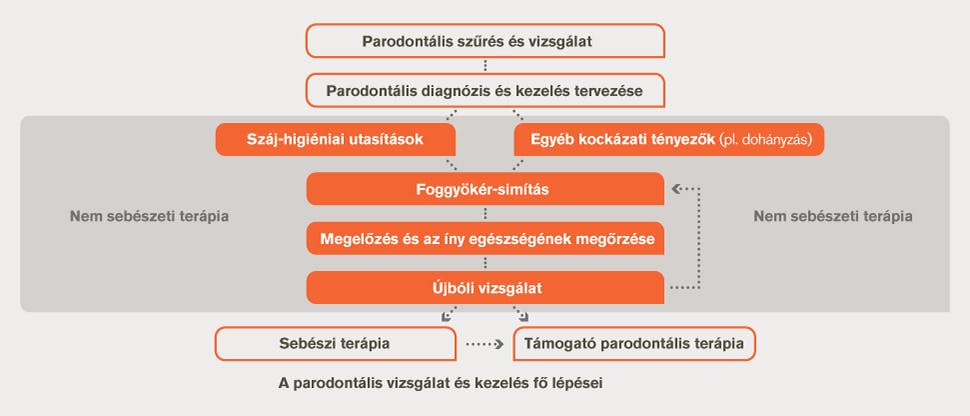 a dohányzás kezelésének hatásai)