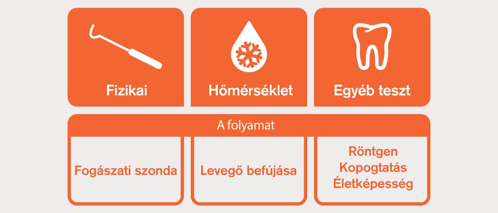 Diagnosztikus tesztek: ikonok és leírás