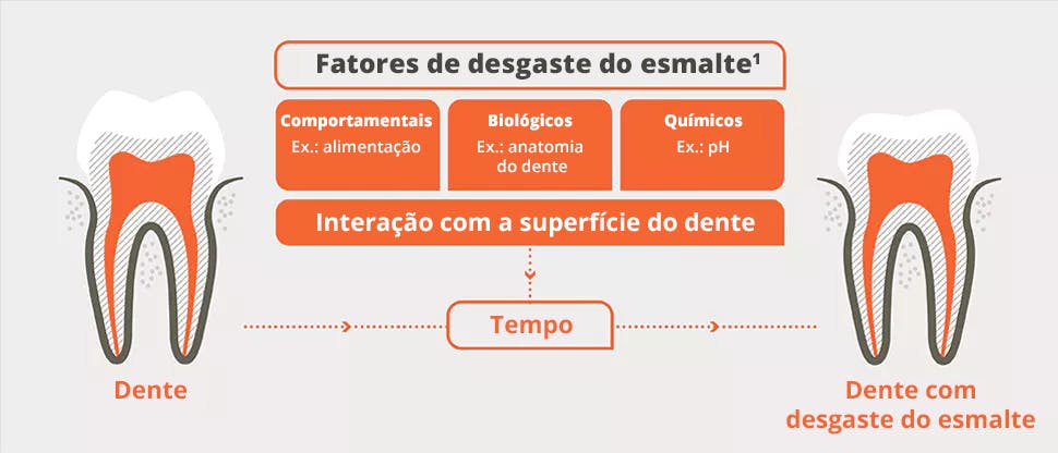 Fatores do desgaste do esmalte