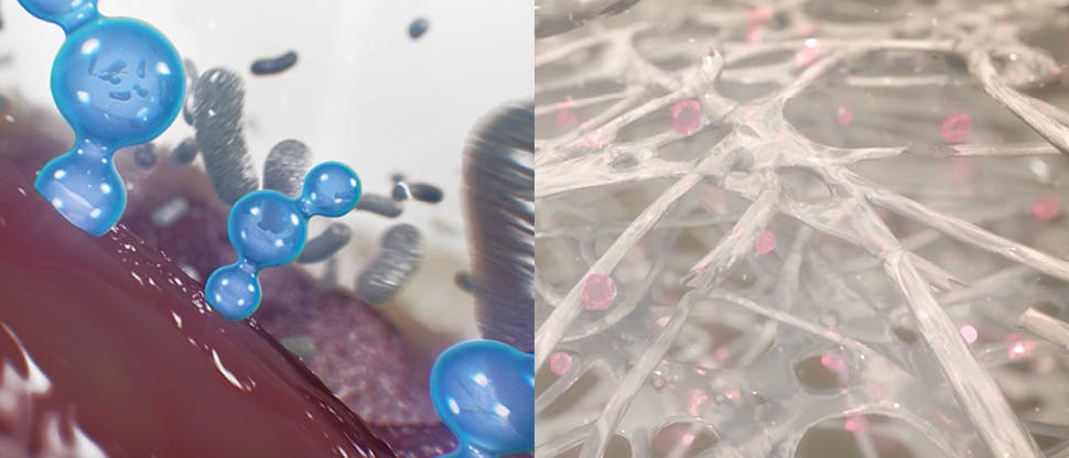 Ação do bicarbonato de sódio e do digluconato de clorohexidina