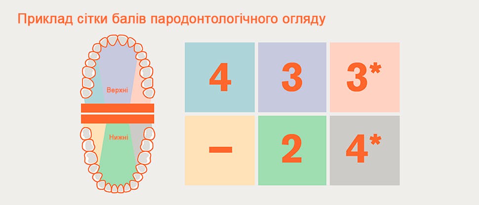 Поділ зубних рядів на секстанти при БПО і приклад сітки