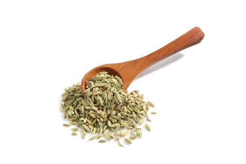 Fennel Fennel