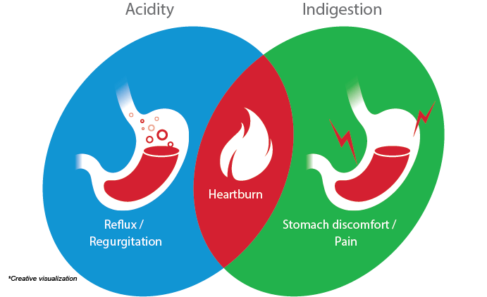 Overlap Of Symptoms In Acidity And Indigestion Overlap Of Symptoms In Acidity And Indigestion