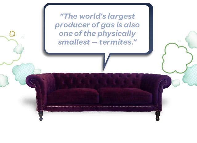 fast-relief-for-gas-and-bloating-gas-x