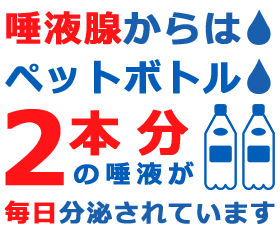 唾液はどれくらい大事なの