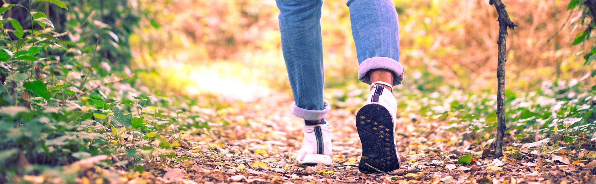 A person walking in nature A person walking in nature