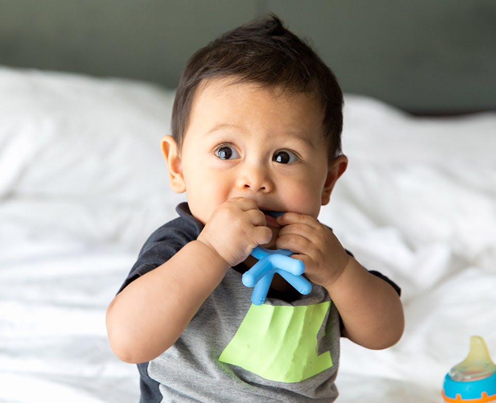 A baby using a teether A baby using a teether