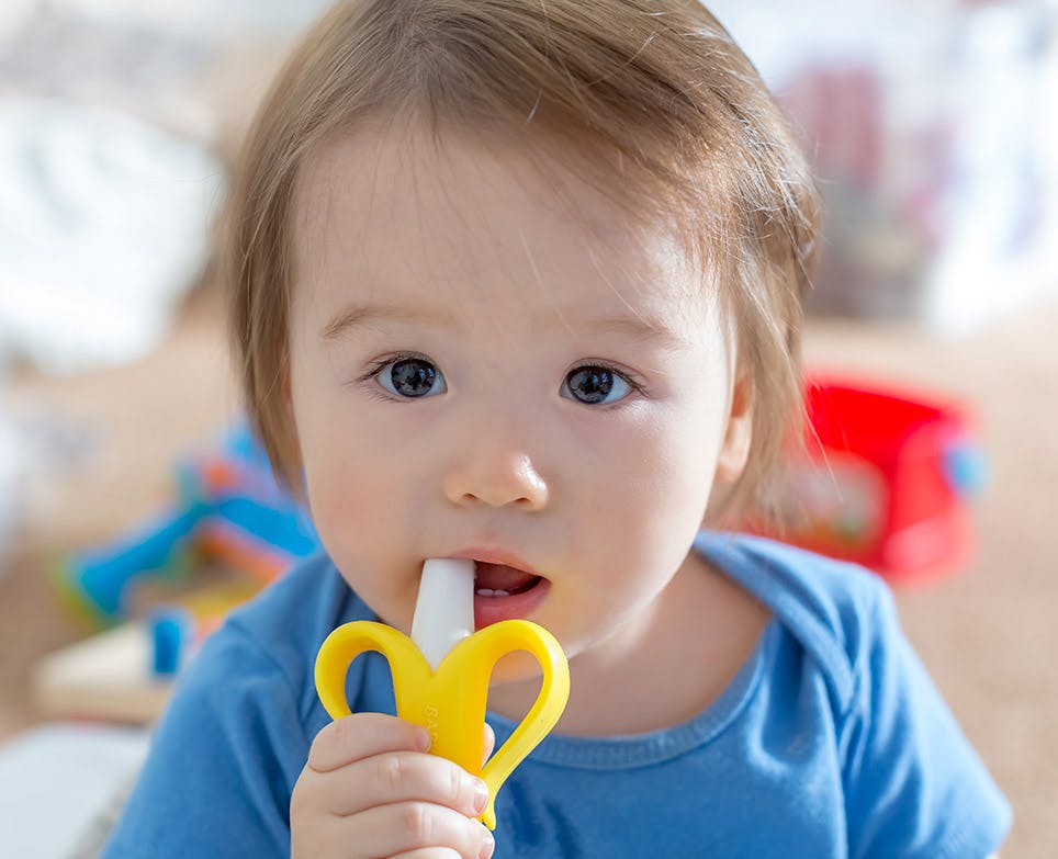 Baby chewing a theething toy. Baby chewing a theething toy.