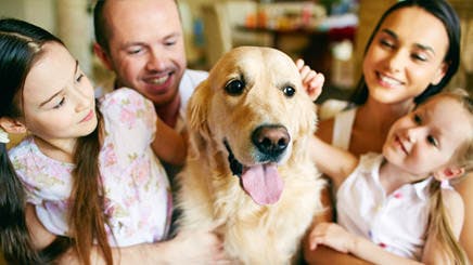 A Young Friendly Family Of Four Cuddling Their Pet A Young Friendly Family Of Four Cuddling Their Pet