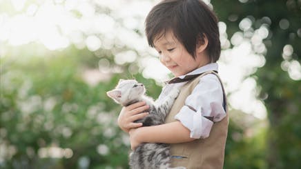 Boy holding kitten Boy holding kitten