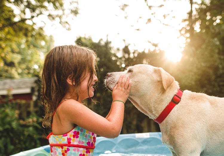 Anak Perempuan Bermain dengan Anjing di Samping Kolam Renang Anak Perempuan Bermain dengan Anjing di Samping Kolam Renang