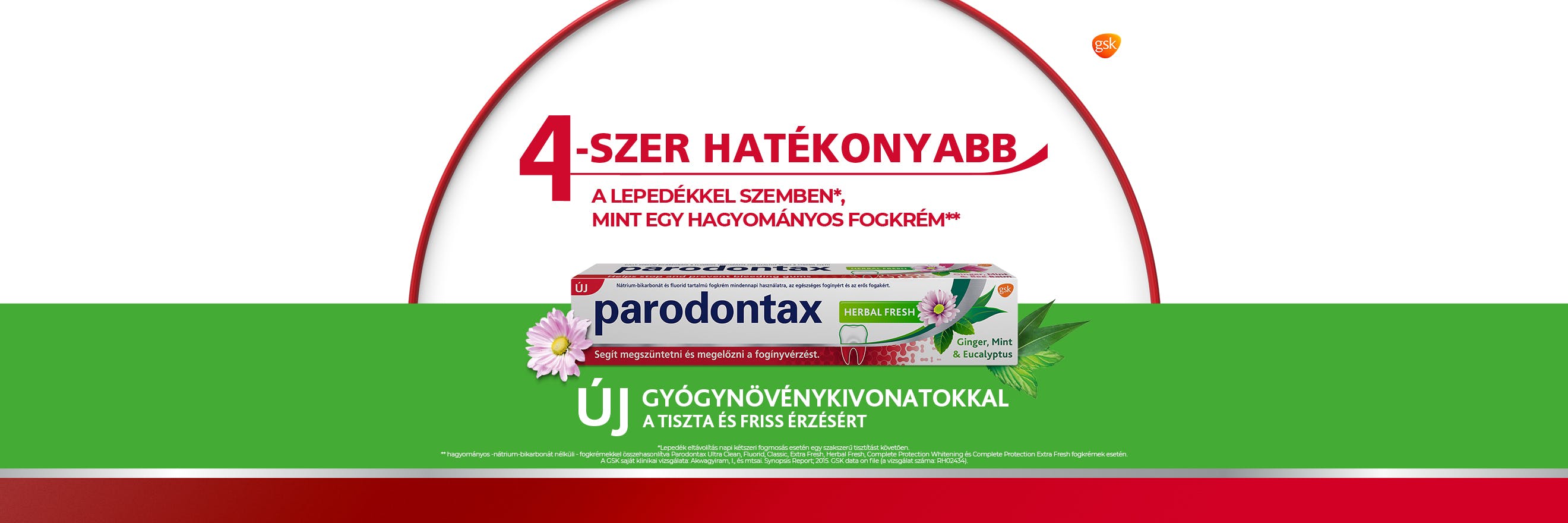 Daily specialist toothpaste