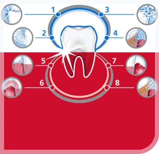 Graph showing the eight main benefits of using parodontax toothpaste for bleeding gums Graph showing the eight main benefits of using parodontax toothpaste for bleeding gums