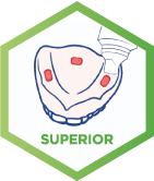 corega_peru_adhesivos_superior_gsk