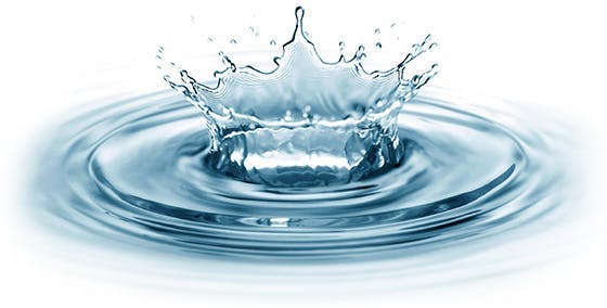 Ronds dans l’eau Ronds dans l’eau