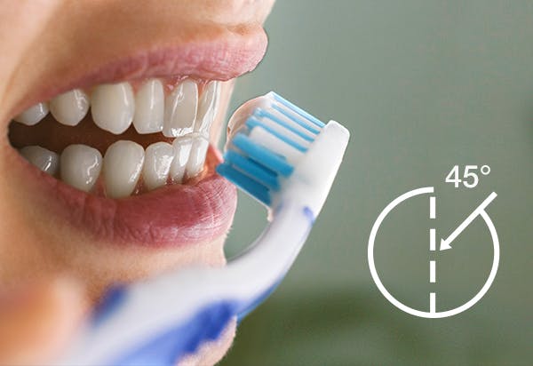 brushing teeth at 45-degree angle brushing teeth at 45-degree angle