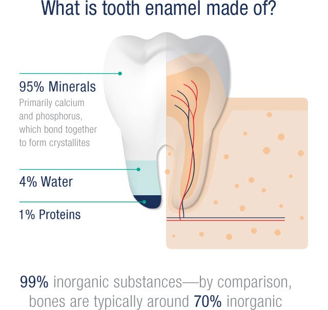 L'émail des dents est composé de 95 % de minéraux, de 4 % d'eau et de 1 % de protéines L'émail des dents est composé de 95 % de minéraux, de 4 % d'eau et de 1 % de protéines