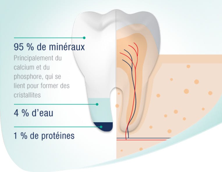À propos de l’émail ProÉmail®