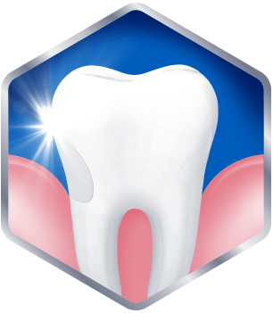 Graphic of healthy gum and tooth