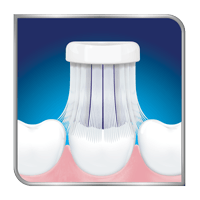 Toothbrush brushing teeth Toothbrush head on sensitive teeth