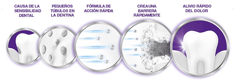 CDF_Sensodyne_Rapid Relief_Single Language_Base_BOP_Option 1 carton_5013693_V3 CDF_Sensodyne_Rapid Relief_Single Language_Base_BOP_Option 1 carton_5013693_V3
