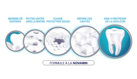 Bénéfice de Sensodyne Répare & Protège Extra Fresh Avec sa formule à base de NOVAMIN, Sensodyne Répare & Protège forme une couche protectrice solide autour des zones fragilisées de vos dents sensibles