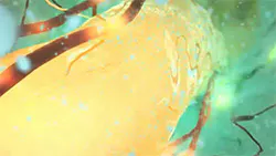 פוטסיום ניטרט