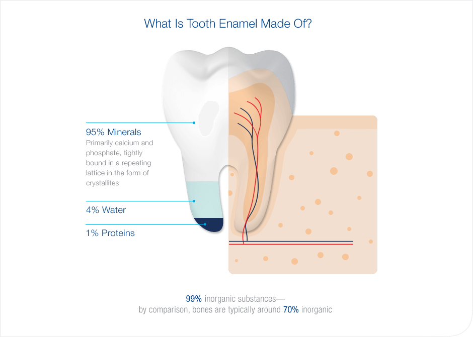 What is Enamel Wear? What is Enamel Wear?