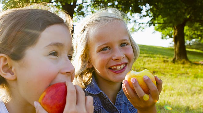 Met een stappenplan voor tanden poetsen wordt het verzorgen van tanden makkelijker voor kinderen Met een stappenplan voor tanden poetsen wordt het verzorgen van tanden makkelijker voor kinderen