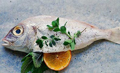 Lysine In Fish Lysine In Fish