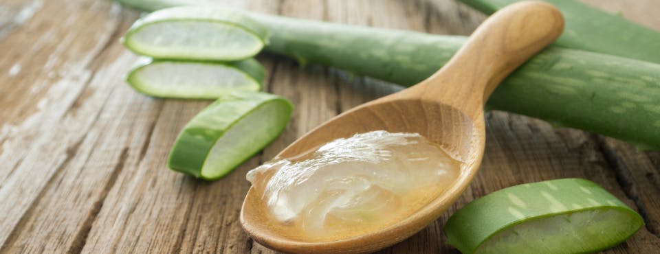 Aloe vera gel on wooden spoon with aloe vera plant Aloe vera gel on wooden spoon with aloe vera plant