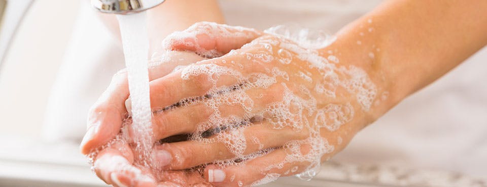 Une personne se lave les mains au lavabo Une personne se lave les mains au lavabo
