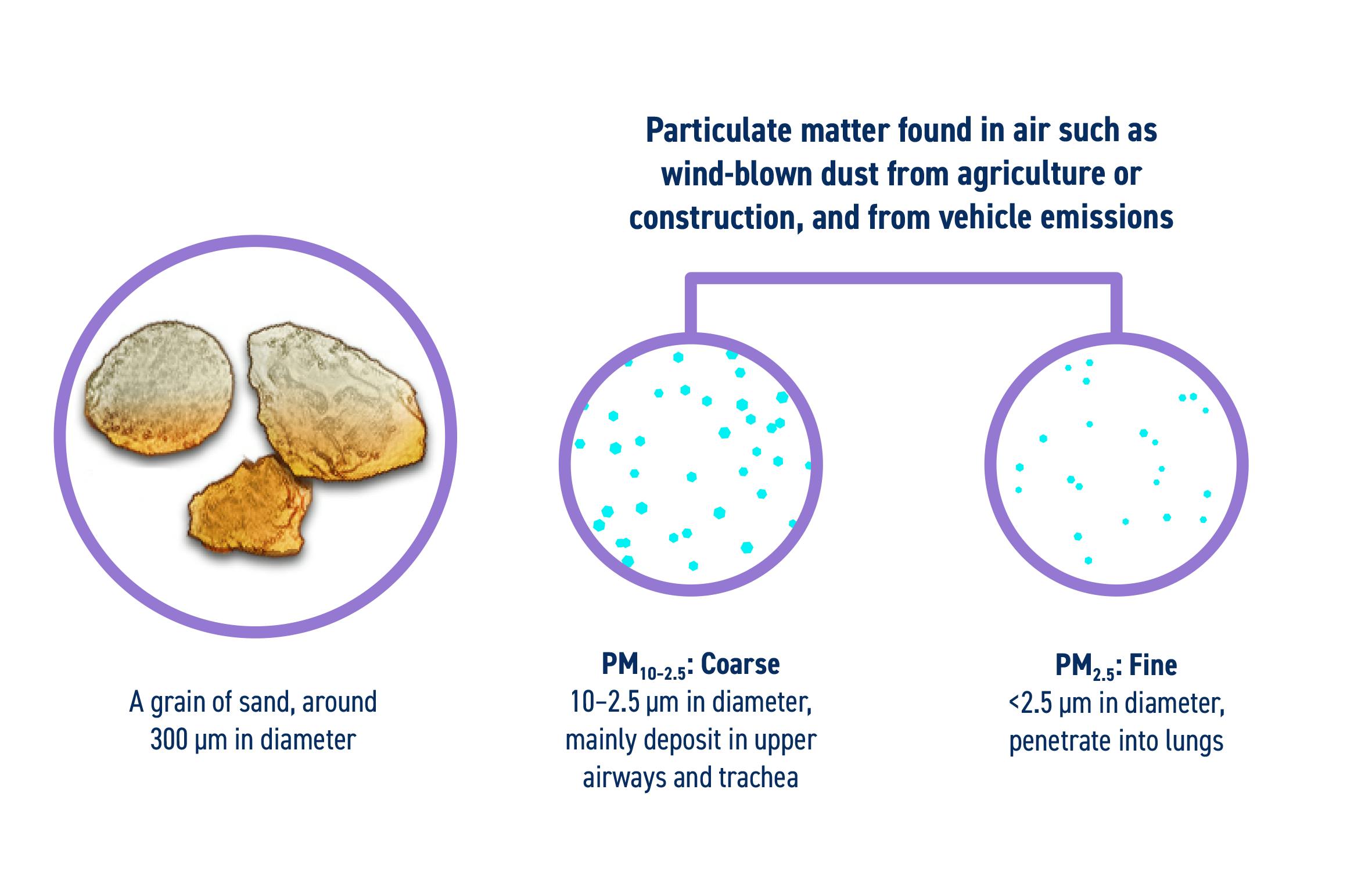 diagram - air pollution