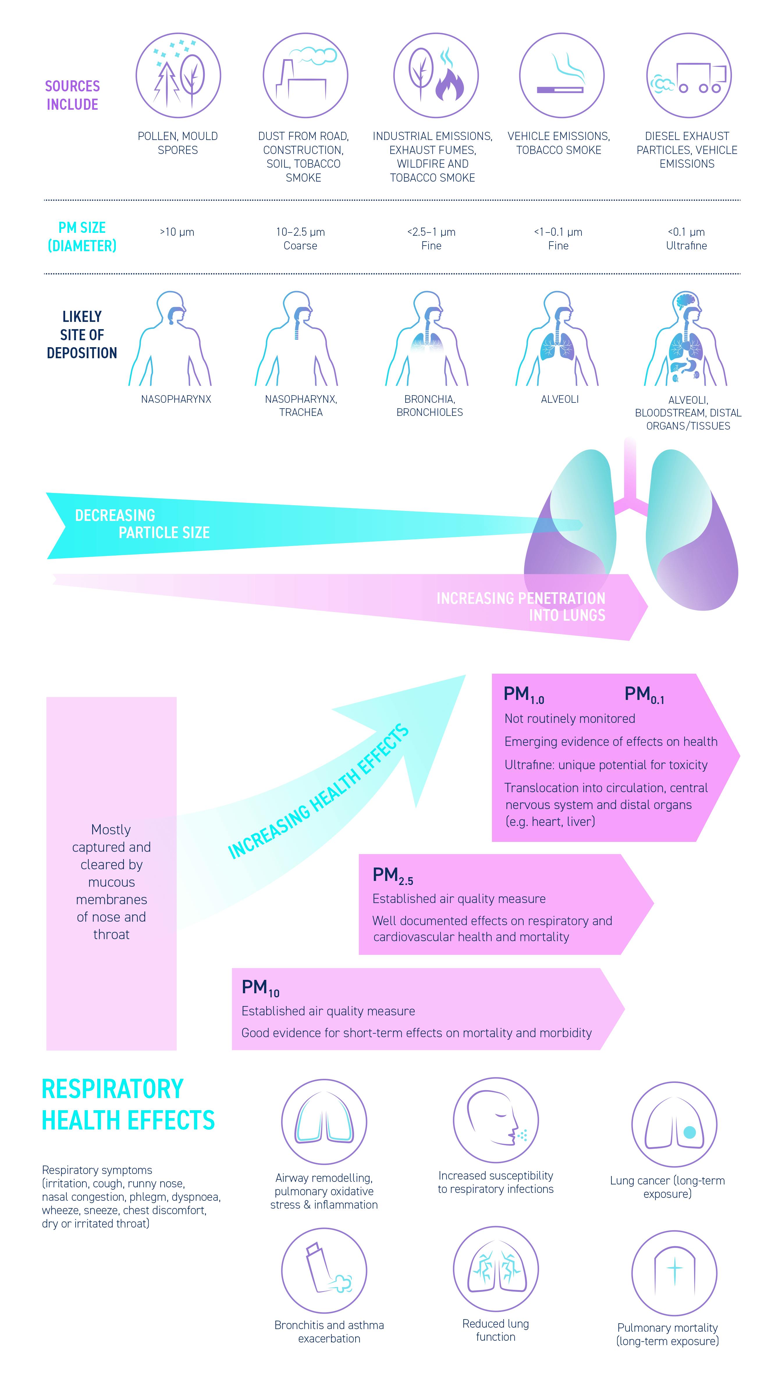 Respiratory Problems: Risk Factors of Air Pollution | TCBI