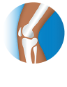 ankle