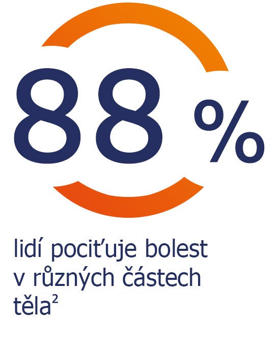 Bolest v těle pociťuje 88 % lidí Bolest v těle pociťuje 88 % lidí