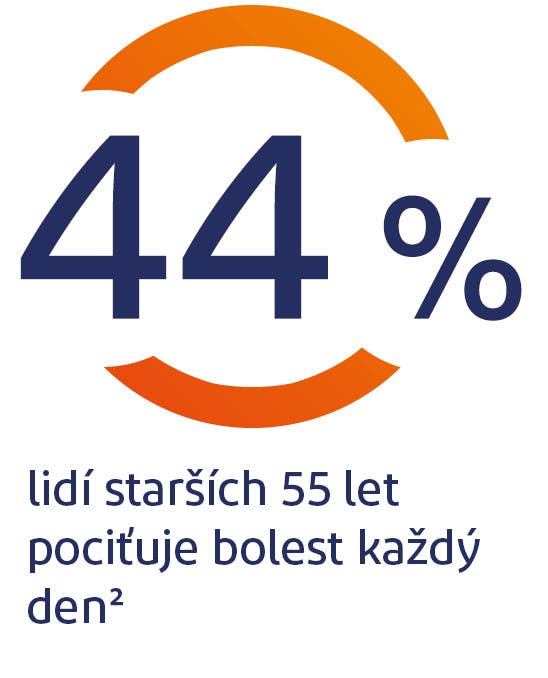 Artróza – 44 % lidí 55+ trpí bolestmi každý den Artróza – 44 % lidí 55+ trpí bolestmi každý den