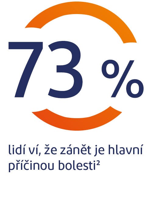 73 % lidí ví, že zánět je příčinou bolesti 73 % lidí ví, že zánět je příčinou bolesti