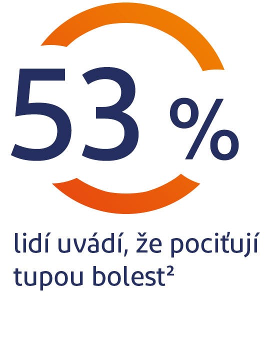 53 % lidí cítí tupou bolest 53 % lidí cítí tupou bolest