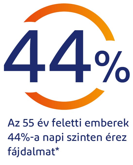 Az 55 év feletti emberek 44%-a napi szinten érez fájdalmat Az 55 év feletti emberek 44%-a napi szinten érez fájdalmat