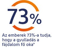 Az emberek 73%-a tudja, hogy a gyulladás a fájdalom vezető oka Az emberek 73%-a tudja, hogy a gyulladás a fájdalom vezető oka