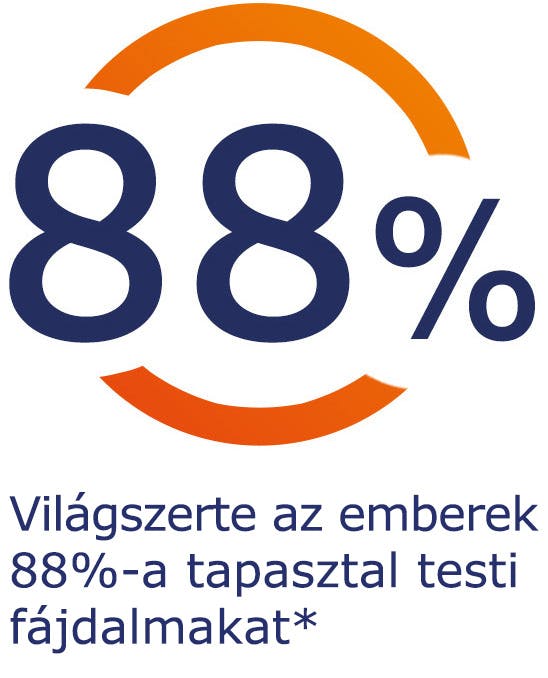 A testi fájdalom megtapasztalása A testi fájdalom megtapasztalása