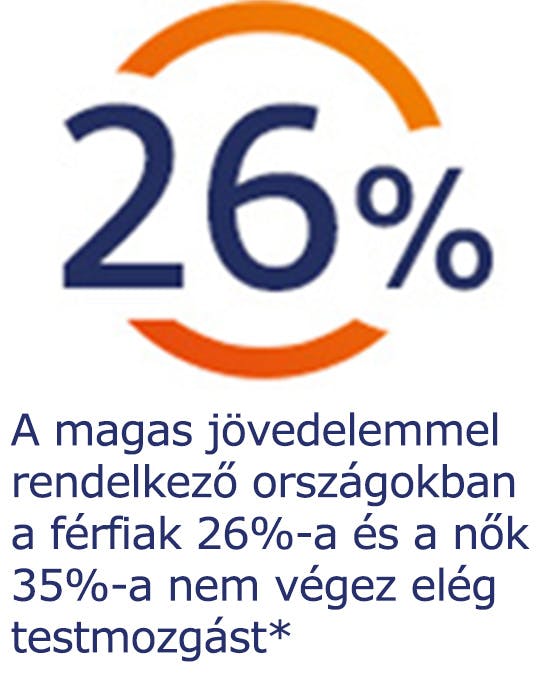 A magas jövedelemmel rendelkező országokban a férfiak 26%-a és a nők 35%-a nem végez elég testmozgást A magas jövedelemmel rendelkező országokban a férfiak 26%-a és a nők 35%-a nem végez elég testmozgást