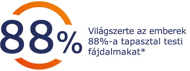 Testi fájdalmat tapasztal Világszerte az emberek 88%-a tapasztal testi fájdalmakat