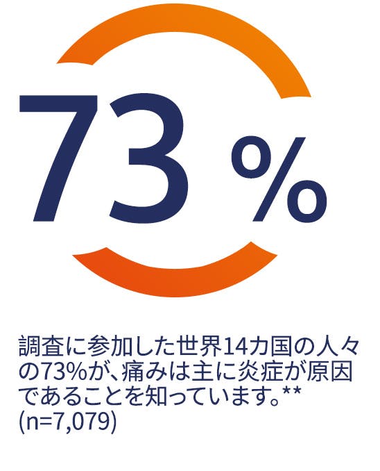 調査に参加した世界14か国の人々の73%が、痛みは主に炎症が原因で起こることを知っています。*(n=7,079) 調査に参加した世界14か国の人々の73%が、痛みは主に炎症が原因で起こることを知っています。*(n=7,079)