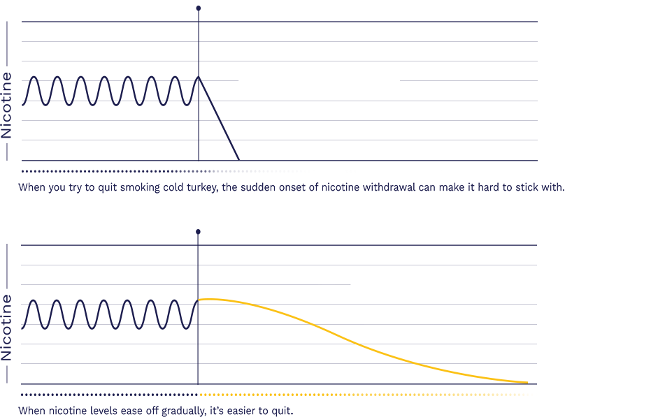 Withdrawal graph showing rapid onset of withdrawal symptoms when quitting cold turkey Withdrawal graph showing rapid onset of withdrawal symptoms when quitting cold turkey