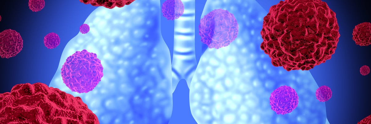Depiction of the lungs with molecules surrounding them Depiction of the lungs with molecules surrounding them