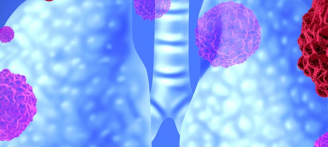 Depiction of the lungs with molecules surrounding them Depiction of the lungs with molecules surrounding them
